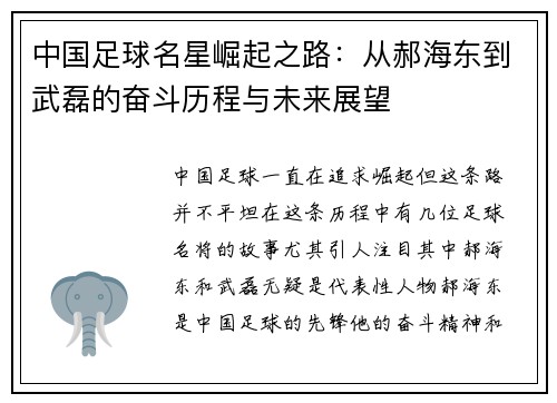 中国足球名星崛起之路：从郝海东到武磊的奋斗历程与未来展望